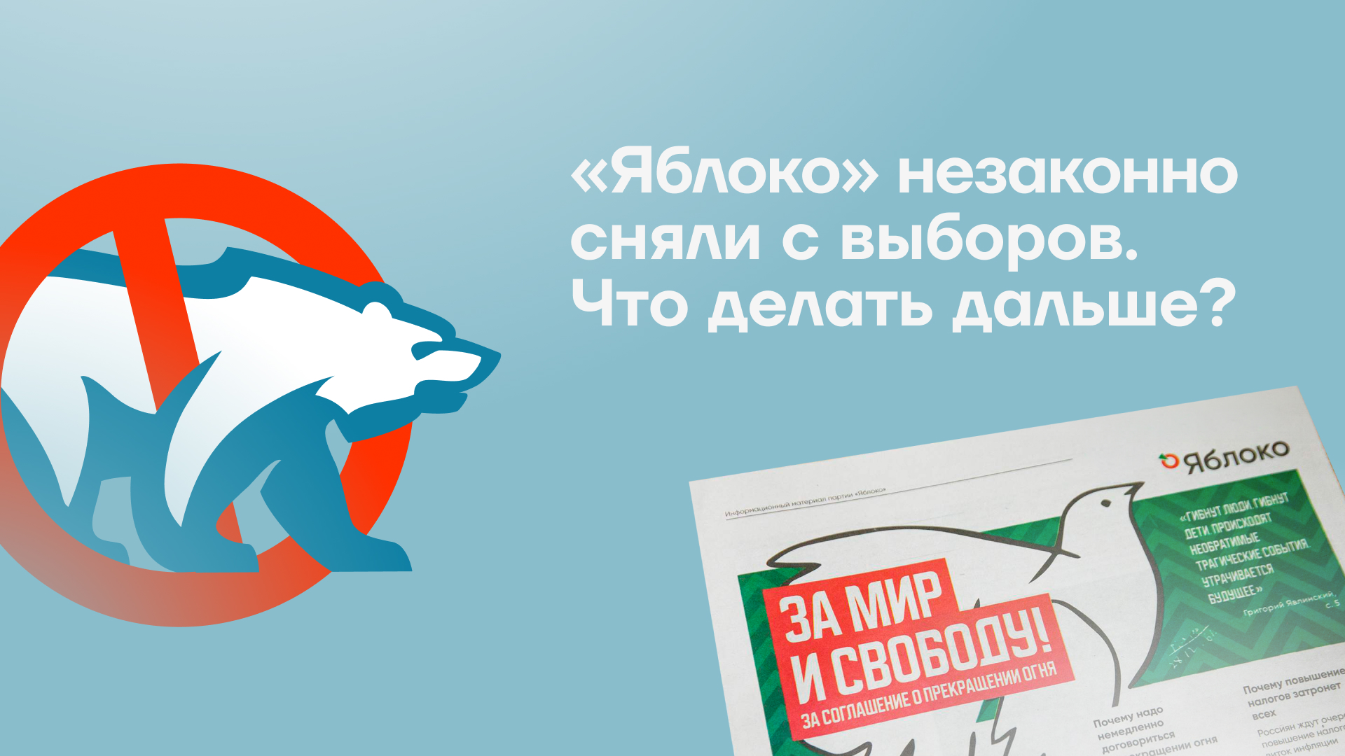 Стратегия ФБК после снятия «Яблока» с выборов